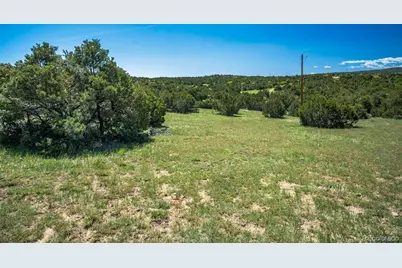 324 Chaps Court, Walsenburg, CO 81089 - Photo 33