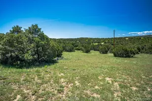 324 Chaps Ct, Walsenburg, CO 81089 - Photo 33