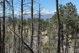 Lot 1154 Bluhdorn Pl, Fort Garland, CO 81133 - Photo 1