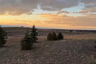 10689 Shadow Pines Rd, Parker, CO 80138 - Photo 45