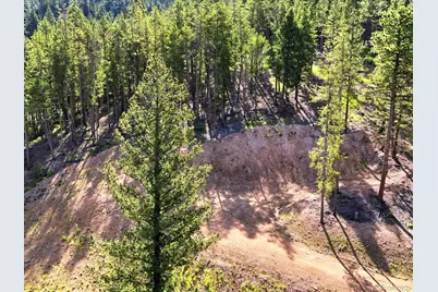 6824 Lynx Lair Road, Evergreen, CO 80439 - Photo 5