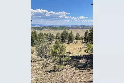 183 Muir Woods Trail, Hartsel, CO 80449 - Photo 7