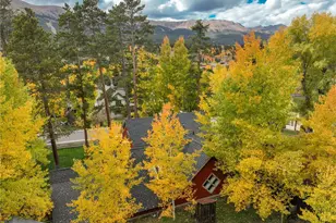 102 S High St, Breckenridge, CO 80424 - Photo 39