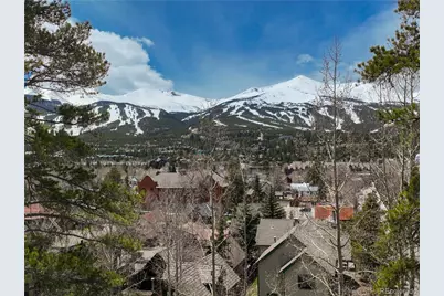 102 S High Street, Breckenridge, CO 80424 - Photo 43