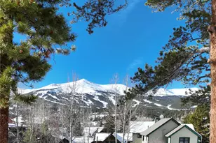 102 S High St, Breckenridge, CO 80424 - Photo 45