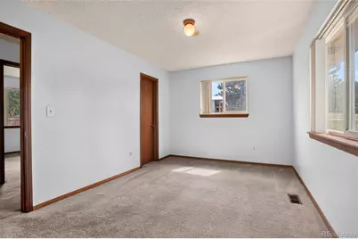 28384 Tresine Drive, Evergreen, CO 80439 - Photo 33