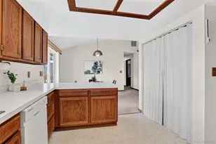 28384 Tresine Dr, Evergreen, CO 80439 - Photo 29