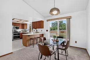28384 Tresine Dr, Evergreen, CO 80439 - Photo 13