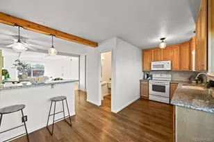 7137 S Webster St, Littleton, CO 80128 - Photo 13