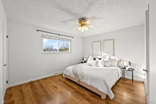 7137 S Webster St, Littleton, CO 80128 - Photo 17