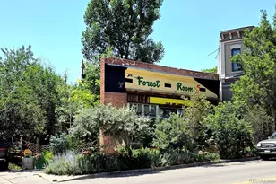 1521 Central St, Denver, CO 80211 - Photo 29