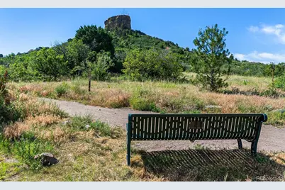 431 Black Feather Loop #813, Castle Rock, CO 80104 - Photo 39