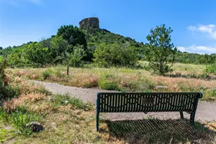 431 Black Feather Loop, Castle Rock, CO 80104 - Photo 39