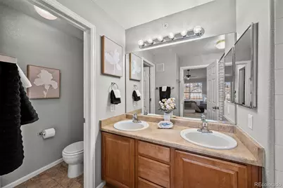 431 Black Feather Loop #813, Castle Rock, CO 80104 - Photo 21
