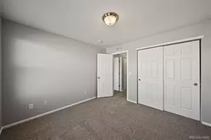 431 Black Feather Loop, Castle Rock, CO 80104 - Photo 23