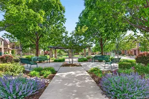 10648 Ashfield St, Highlands Ranch, CO 80126 - Photo 39