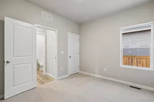 965 Cascade Falls St, Severance, CO 80550 - Photo 19