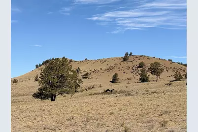 Hardwood Loop, Hartsel, CO 80449 - Photo 29