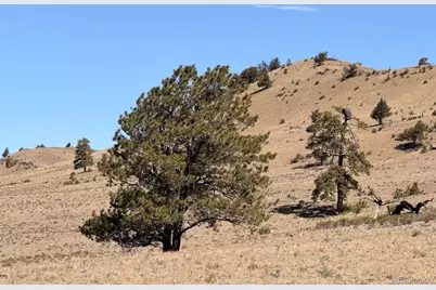 Hardwood Loop, Hartsel, CO 80449 - Photo 7
