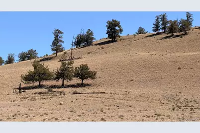 Hardwood Loop, Hartsel, CO 80449 - Photo 31