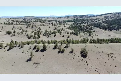 Hardwood Loop, Hartsel, CO 80449 - Photo 19