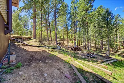 33511 Nova Road, Pine, CO 80470 - Photo 45