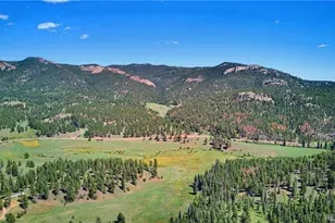 33511 Nova Rd, Pine, CO 80470 - Photo 9