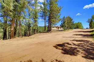 33511 Nova Rd, Pine, CO 80470 - Photo 47