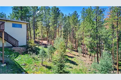 33511 Nova Road, Pine, CO 80470 - Photo 7