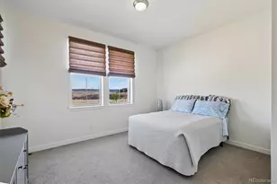 9551 Eagle River St, Littleton, CO 80125 - Photo 31