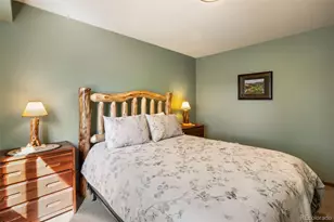 493 Horseshoe Dr, Divide, CO 80814 - Photo 35