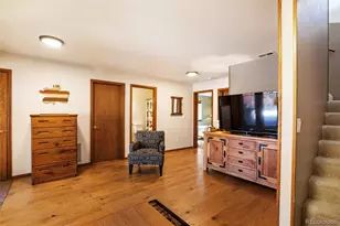 493 Horseshoe Dr, Divide, CO 80814 - Photo 29