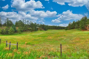 18908 County Road 31 9, Weston, CO 81091 - Photo 5