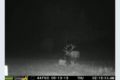 18908 County Road 31.9, Weston, CO 81091 - Photo 13