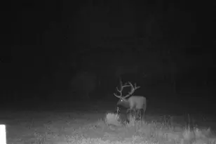 18908 County Road 31 9, Weston, CO 81091 - Photo 13