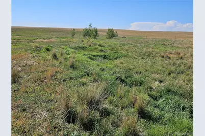 41683 Bijou View Street, Agate, CO 80101 - Photo 5