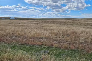 41683 Bijou Vw St, Agate, CO 80101 - Photo 1