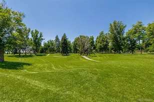 1390 N Emerson Street, Denver, CO 80218 - Photo 29