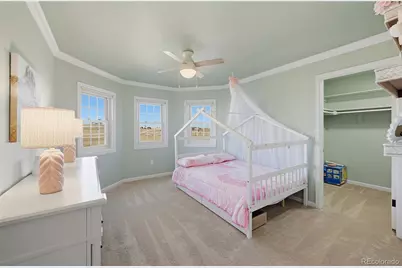 45886 Cottonwood Hills Drive, Parker, CO 80138 - Photo 27