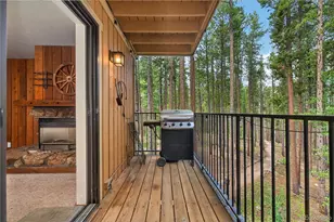 214 Gcr 702/Village Dr, Winter Park, CO 80482 - Photo 15