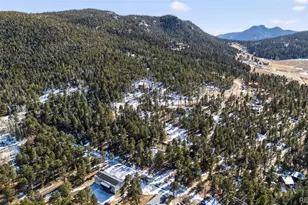 26196 Rea Ave, Conifer, CO 80433 - Photo 39