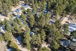 26196 Rea Ave, Conifer, CO 80433 - Photo 31