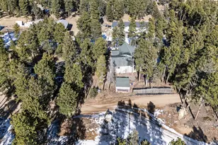 26196 Rea Ave, Conifer, CO 80433 - Photo 35