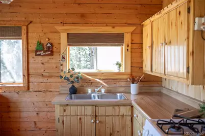 1001 Cr 17 #Aspen Cabin, Lake City, CO 81235 - Photo 9