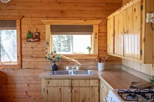 1001 Cr 17 #Aspen Cabin, Lake City, CO 81235 - Photo 9