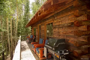 1001 Cr 17 #Aspen Cabin, Lake City, CO 81235 - Photo 5