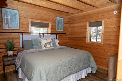 1001 Cr 17 #Aspen Cabin, Lake City, CO 81235 - Photo 17