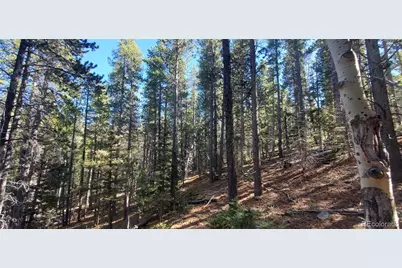 Lot 3023 & 3024 Bolwell Lane, Fort Garland, CO 81133 - Photo 7