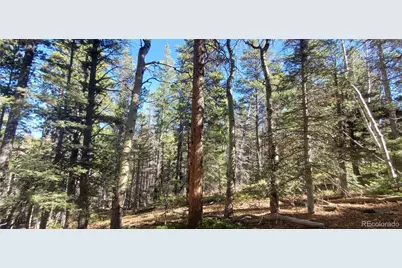 Lot 3023 & 3024 Bolwell Lane, Fort Garland, CO 81133 - Photo 9