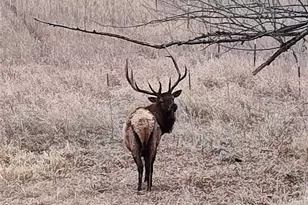 23094 Ohkay Rd, Indian Hills, CO 80454 - Photo 49